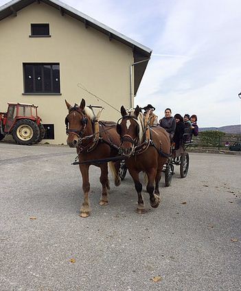  Location de calèche, anniversaire, mariage